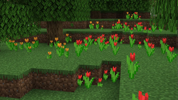 flower forest