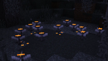 pale garden night