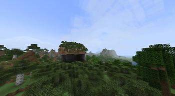 Birch Overhang