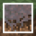 Lower Mycelium