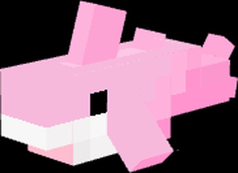 pink haj model