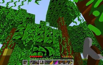 jungle
