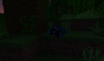 Blue poison dart frog lurking in the shadows