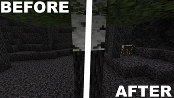 Before / After