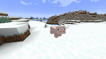 The Snowy Plains Pig