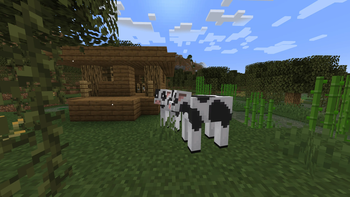 The Dairy Cow