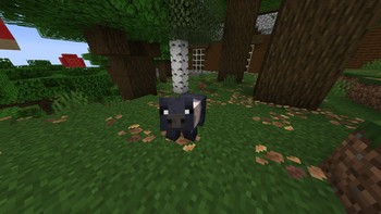 The Dark Forest Pig