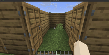 Double Doors