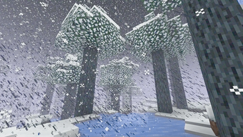 Daytime (MC VHS shader)