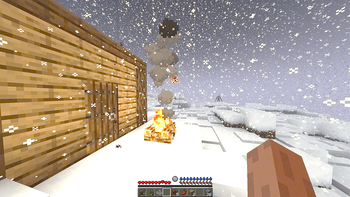 Survival (MC VHS shader)