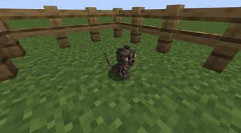 Pre 26.1/26.2 kitten model