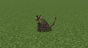 Tortoiseshell cat in-game