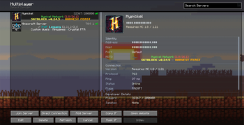 Multiplayer Select Server