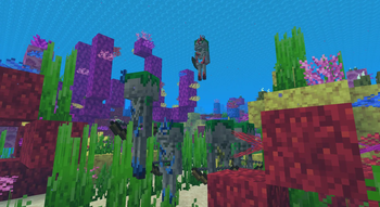 Coral Skeletons