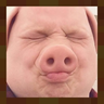 Porkium