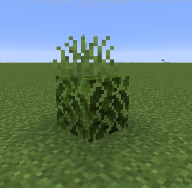 Grass on Leaves