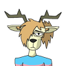 N1ghtTheFox