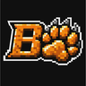 BettyTigerDev