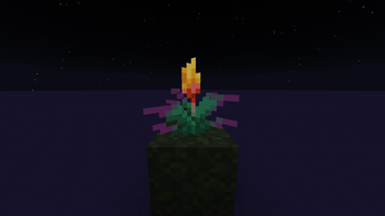 Emissive at Night