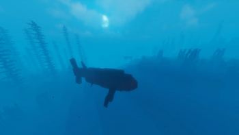Shark