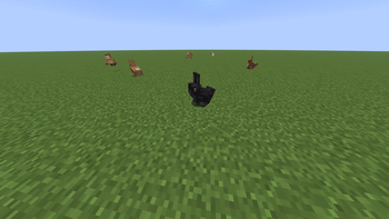 Bunny2