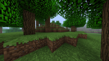 Classic Forest
