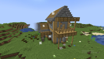 Old/abandoned oak house.
