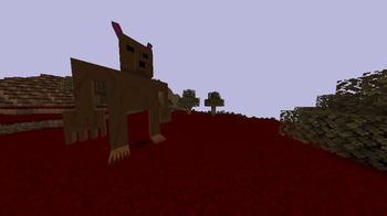 Infected Bear