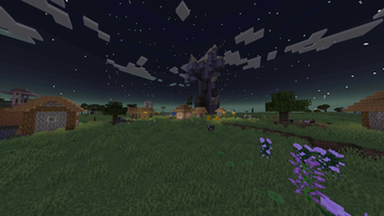 Village