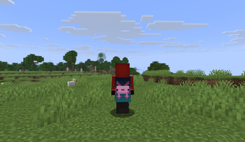Capify Screenshot 2