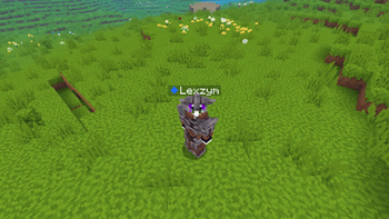 Netherite Armor on 3 person