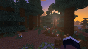 Taiga biome with the sun rising and a fox