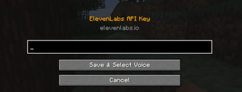 API Key Photo