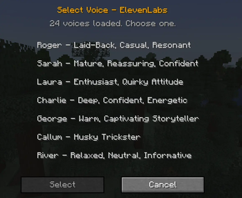 All Voice Photo
