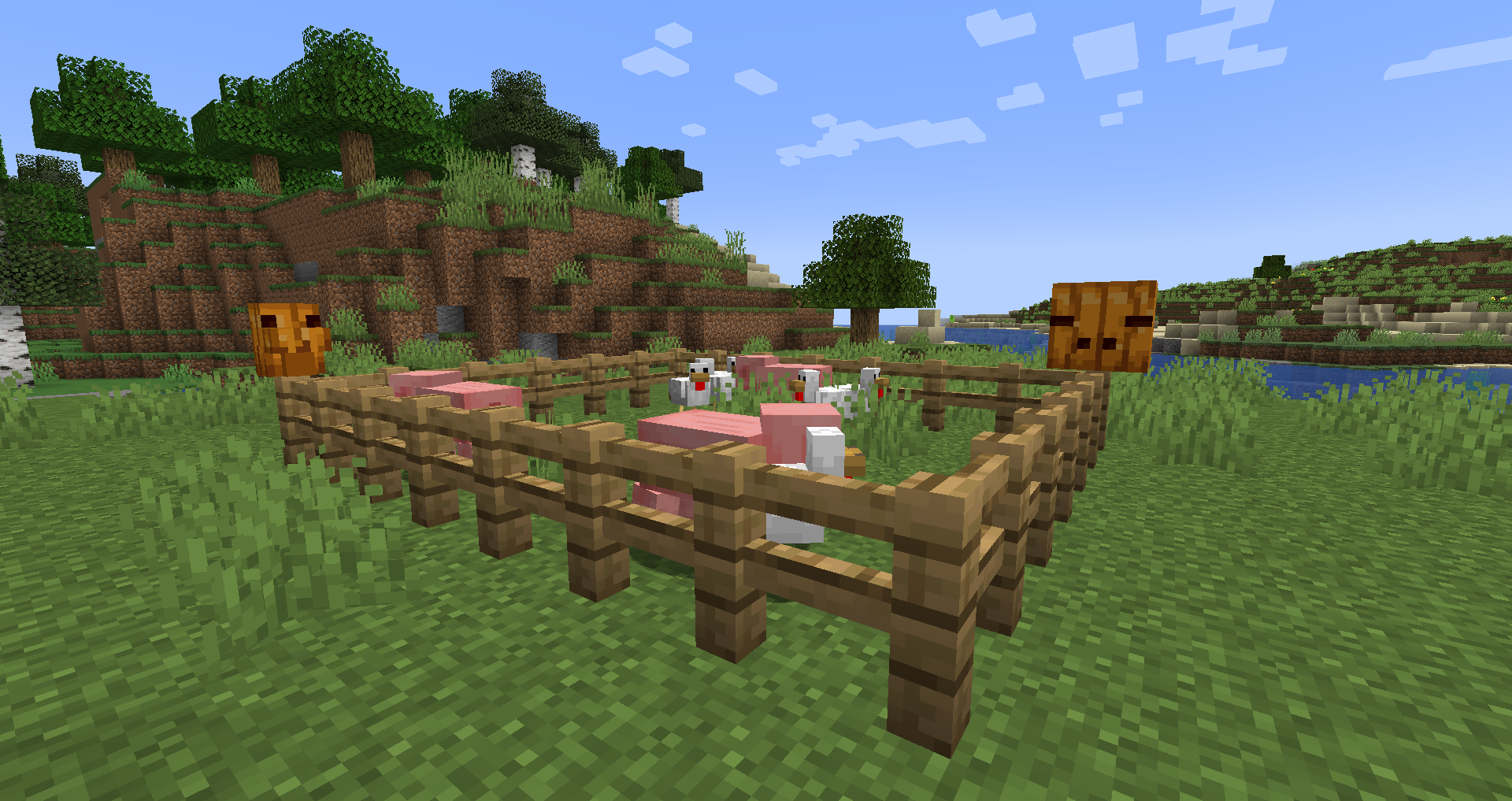 Pig and Chicken Pen