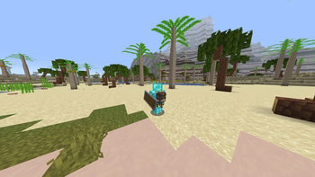 Palm Tree Biome