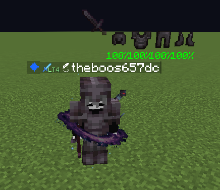 show items above players head