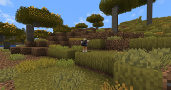 Spotted Wolf in a Flowering Savanna