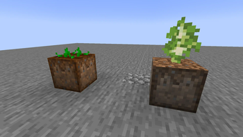 The planters. They will automatically plants sapling or seed when there is space to place.