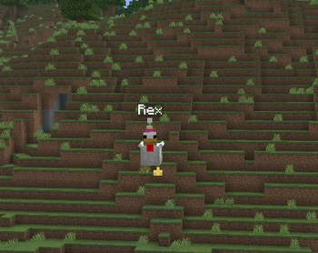 CHICKEN