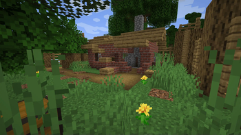 lost house