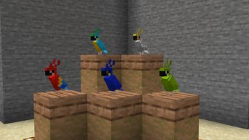 Parrots