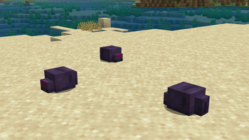 Endermite