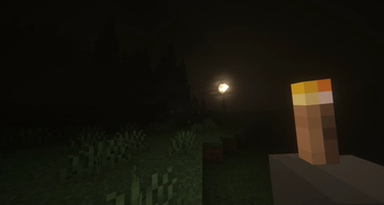 Tall and Dense forests