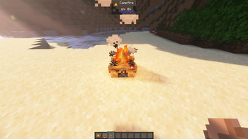 Cooking On A Campfire