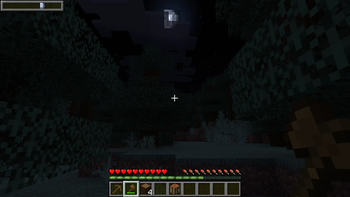 Time bar ingame