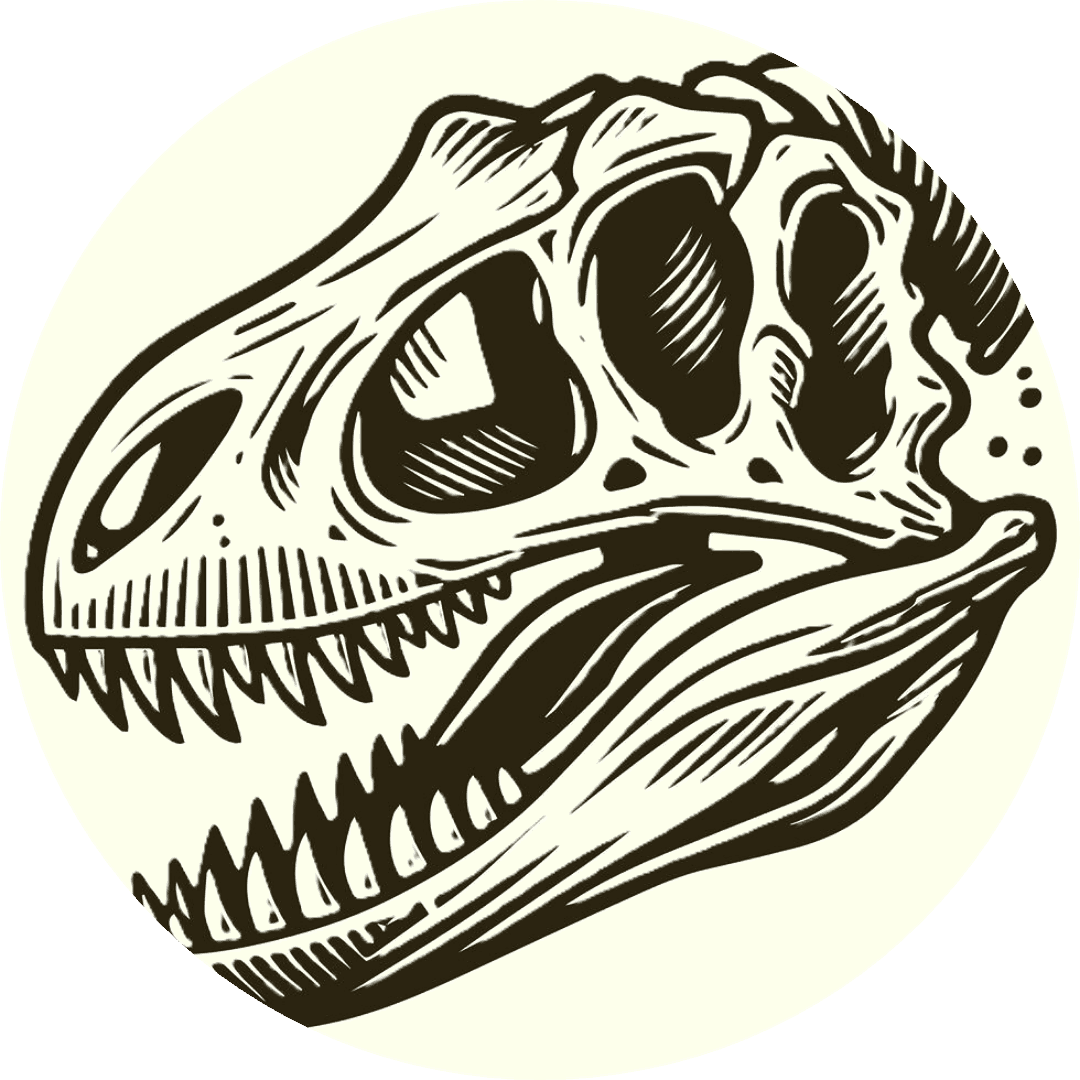 Fossils & Archeology Plus