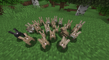 horde of tamed bunnies :3