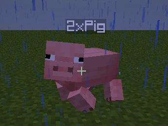 A pig, twice
