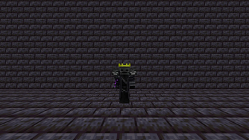 Totem of Wither 3rd Person